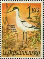 (1967-012) Марка Чехословакия "Шилоклювка"    Водоплавающие птицы III Θ