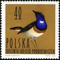 (1964-034) Марка Польша "Варакушка"   Водоплавающие птицы II Θ