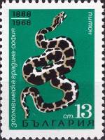 (1968-046) Марка Болгария "Питон"   80-летие Софийского зоопарка II Θ