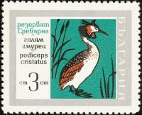 (1968-061) Марка Болгария "Чомга"   Заповедник «Серебряный» III Θ