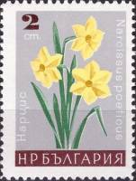 (1966-095) Марка Болгария "Нарцисс"   Садовые цветы III Θ