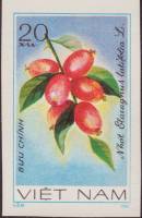 (1981-036a) Марка Вьетнам "Олеастр"  Без перфорации  Фрукты III Θ