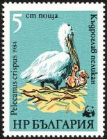 (1984-072) Марка Болгария "Пеликан (1)"   Всемирная охрана природы II Θ