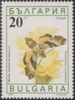(1990-047) Марка Болгария "Бражник прозерпина"   Бабочки III Θ
