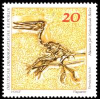 (1973-010) Марка Германия (ГДР) "Птеродактиль"    Музей истории II Θ