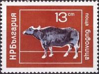 (1974-018) Марка Болгария "Буйвол"    Домашние животные II Θ