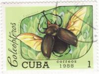 (1988-044) Марка Куба "Жук-слон"    Жуки III Θ
