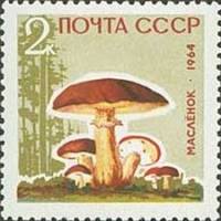 1964-152 Марка СССР Маслята Без лакирования   Грибы III Θ