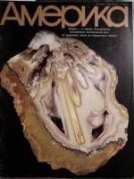 Журнал Америка 1990 № 407 октябрь . Мягкая обл. 60 с. С цв илл