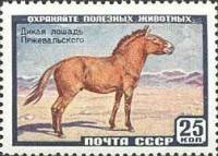 1959-054 Марка СССР Лошадь Пржевальского   Фауна II O