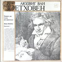 Набор виниловых пластинок (6 шт) Л. Бетховен 32 сонаты для фортепиано А. Шнабель Мелодия 300 мм. Exc