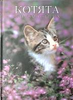 Книга Котята Фотоальбом 1997 М. Шнек Минск Твёрдая обл. 80 с. С цв илл