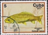 (1977-016) Марка Куба "Карп "    Аквариум парка Ленина III O