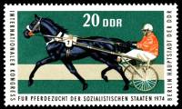 (1974-066) Марка Германия (ГДР) "Рысак"    Конный спорт III Θ