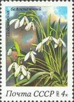 1983-035 Марка СССР Подснежник белоснежный  Весенние цветы III O
