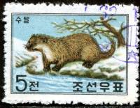 (1962-010) Марка Северная Корея "Европейская выдра"   Хищники Северной Кореи III Θ