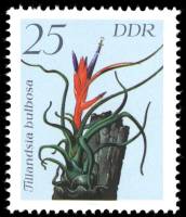 (1988-013) Марка Германия (ГДР) "Тилландсия луковичная"    Растения II Θ