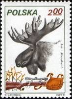 (1981-022) Марка Польша "Лось"    Охота II Θ