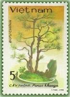 (1986-096) Марка Вьетнам "Сосна "    Вьетнамский Бонсай III Θ