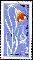 (1978-041) Марка Болгария "Рябчик Дреновского"   Редкие цветы II Θ