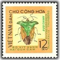 (1965-036) Марка Вьетнам "Зеленый вонючий жук"   Насекомые II Θ