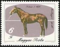 (1985-039) Марка Венгрия "Крез-1, 1970"    Лошади II Θ