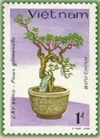 (1986-090a) Марка Вьетнам "Сикомор"  Без перфорации  Вьетнамский Бонсай III Θ