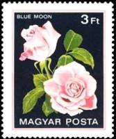 (1982-020) Марка Венгрия "Голубая луна"    Розы II Θ