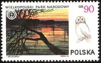 (1976-025) Марка Польша "Серая неясыть "    Великопольский Национальный парк II Θ