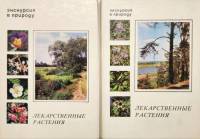 Наборы открыток 2 шт Лекарственые растения 1977 1978 гг