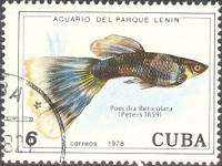 (1978-037) Марка Куба "Гуппи"    Аквариум парка Ленина III Θ