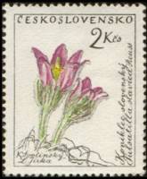 (1960-064) Марка Чехословакия "Прострел словацкий"   Цветы III O