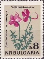 (1963-053) Марка Болгария "Фиалка длинношпорцевая"   Цветы III O