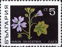 (1969-005) Марка Болгария "Мальва лесная"   Лекарственные растения III Θ