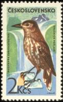 (1965-072) Марка Чехословакия "Кедровка"    Горные птицы II O