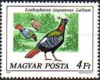 (1977-019) Марка Венгрия "Гималайский монал"    Павлины и фазаны II Θ