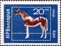 (1974-019) Марка Болгария "Лошадь"    Домашние животные I Θ