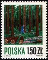 (1971-020) Марка Польша "Вырубка леса"    Лесное хозяйство II Θ