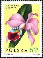 (1965-059) Марка Польша "Каттлея губастая"   Орхидеи III Θ