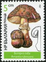 (1987-006) Марка Болгария "Мухомор"   Грибы III Θ