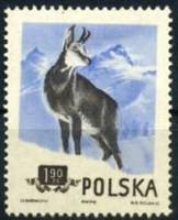 (1954-054) Марка Польша "Серна" Перф греб 12:12¼   Охраняемые животные I Θ