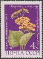 1972-019 Марка СССР Крестовник плосколистный   Лекарственные растения II O