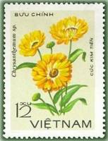 (1978-057) Марка Вьетнам "Ким тянь"   Хризантемы III Θ