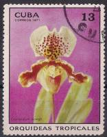 (1971-040) Марка Куба "Башмачок мелкоцветный"    Орхидеи III Θ