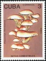 (1989-007) Марка Куба "Вешенки флоридские"    Съедобные грибы III Θ