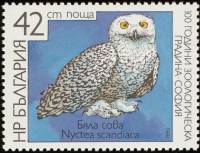 (1988-038) Марка Болгария "Белая сова"   Зоопарк Софии, 100 лет III Θ