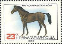 (1980-102) Марка Болгария "Арабский жеребец"   Породы лошадей I Θ