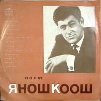 Пластинка виниловая Я. Коош Девочка у рояля Мелодия 300 мм. (сост. на фото)