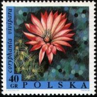 (1968-020) Марка Польша "Эскобария живородящая"   Выставка цветов III Θ