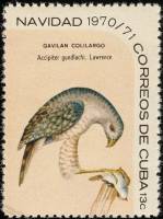 (1970-098) Марка Куба "Кубинский ястреб"    Рождество III O